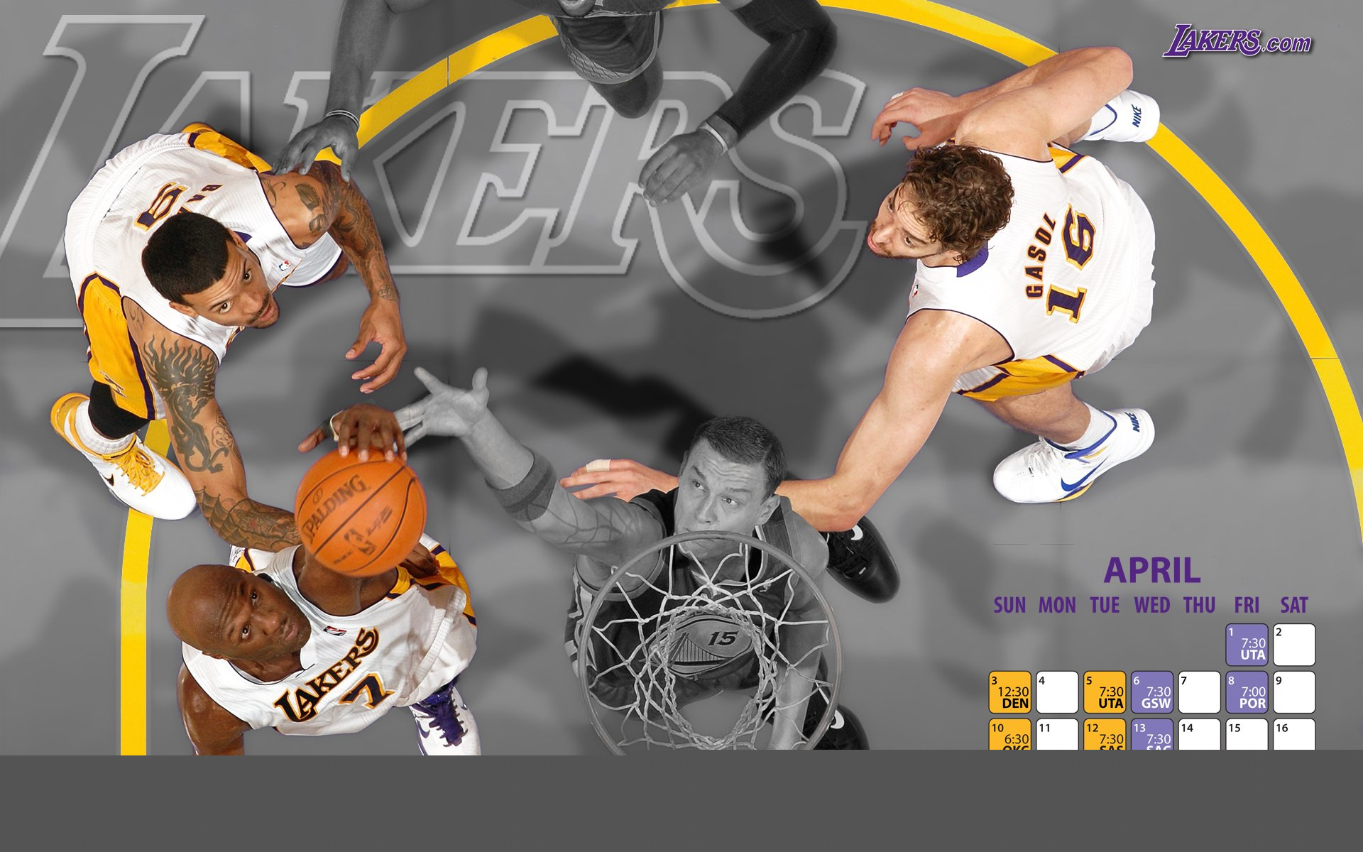 动物油精炼设备