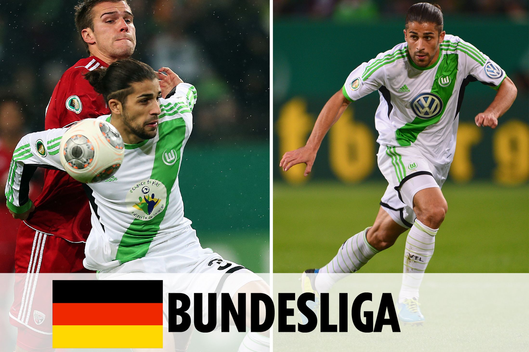 动物油精炼设备