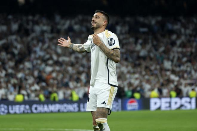 动物油精炼设备