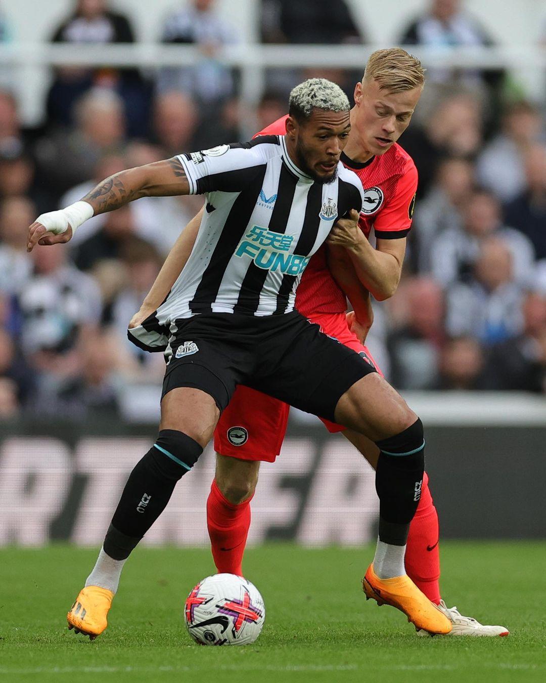 动物油精炼设备